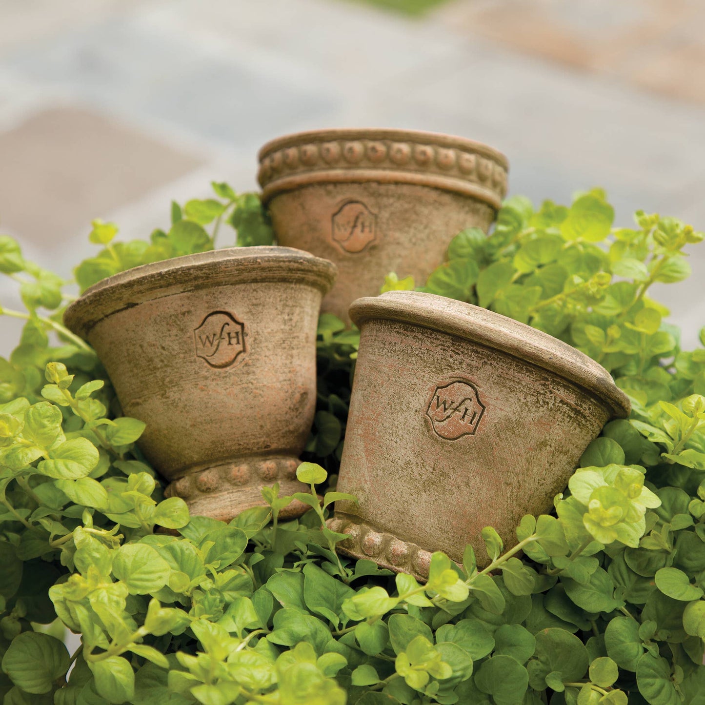 Wakefield Handmade Mini Pots Brown